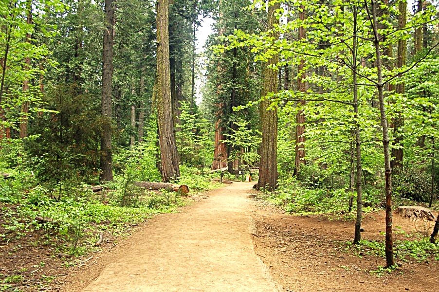 New Paths 2-©2025 David W Ebel