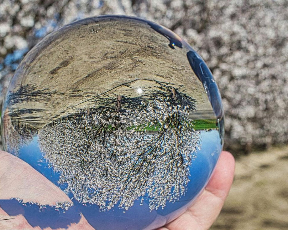 What You See Is What You Get-©2025 David W Ebel.