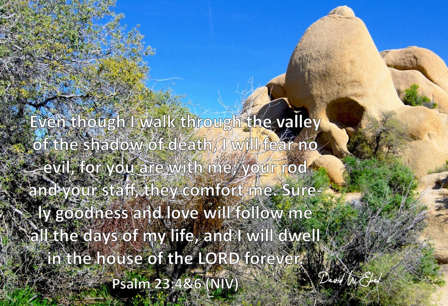 Valley of the Shadow Master -Signed ©2020 David W Ebel,