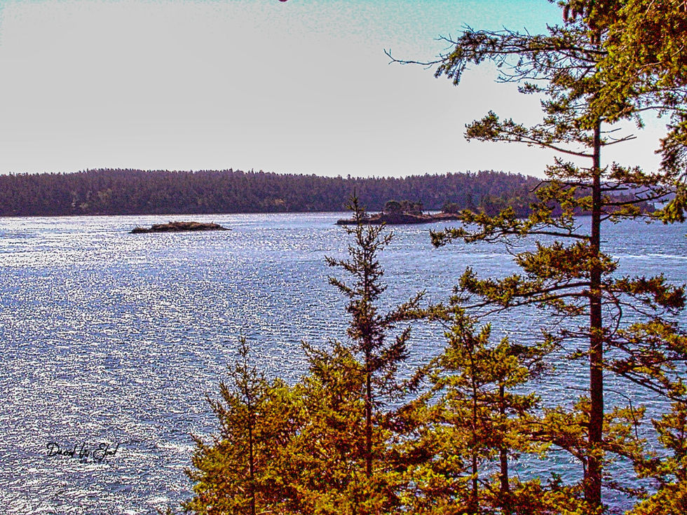 San Juan Island 2 -1999-©2020 David W Ebel,
