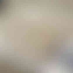 The Brothers Canapes