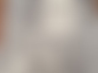 DUAL1009 promotional Booklet?