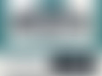 Dual1009 当時のパンフレット