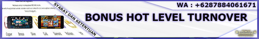 bonus level bdw