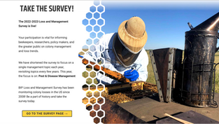 Participate in the Bee Informed Loss and Management Survey