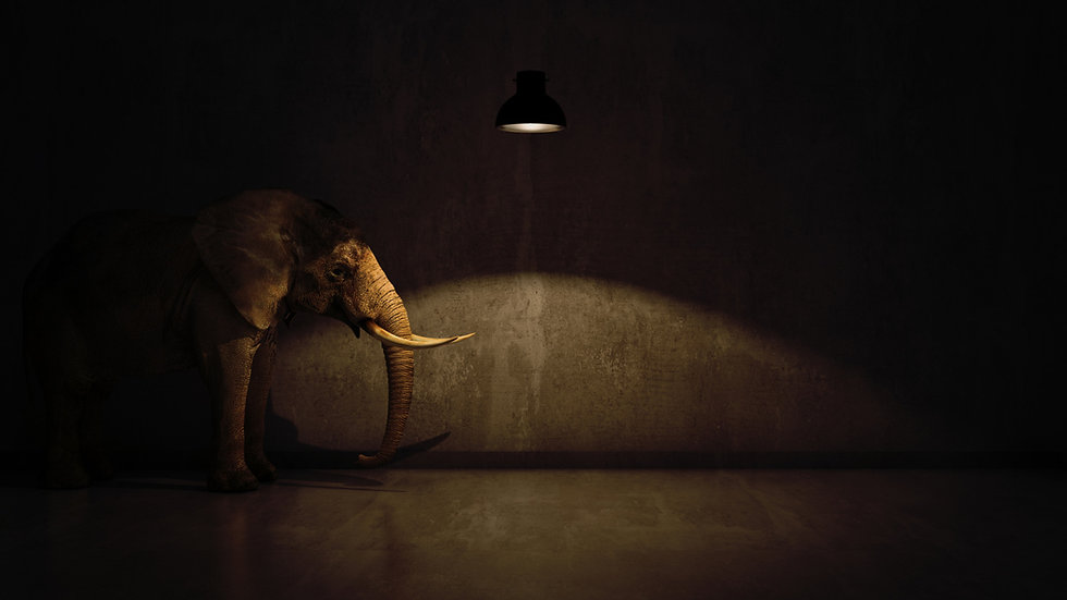 ElephantRoom.jpeg