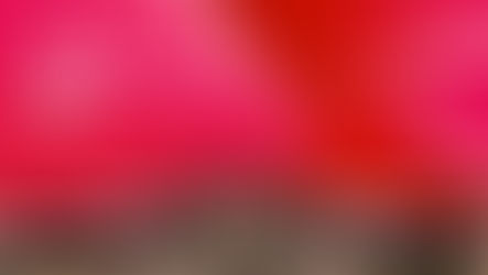 Klein Blue speaker à AI for Finance 