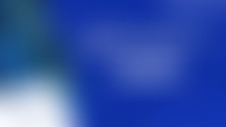 Les nouveaux services en banque et en assurance