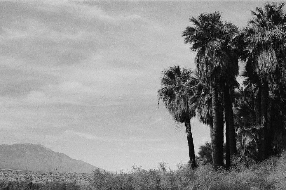 A Palm Springs Afternoon_edited.jpg