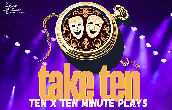 Take Ten writers festival
