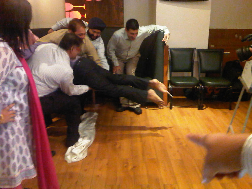 IMG02634-20131218-1026.jpg