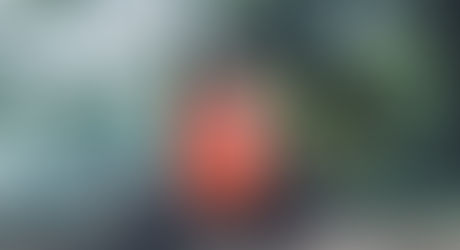 The Power of Mindfulness and Meditation