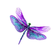 Purple DragonFly Logo (2).png