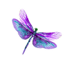 Purple DragonFly Logo (2).png