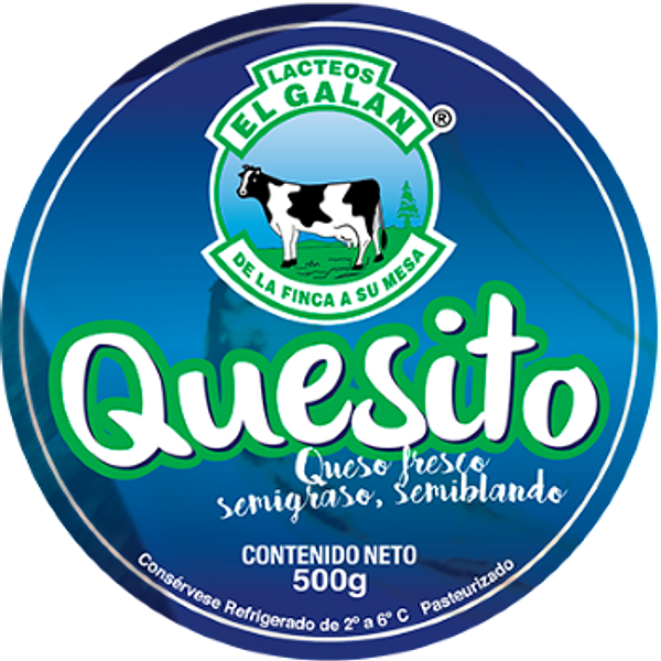 Quesito El Galan Bloque 500g