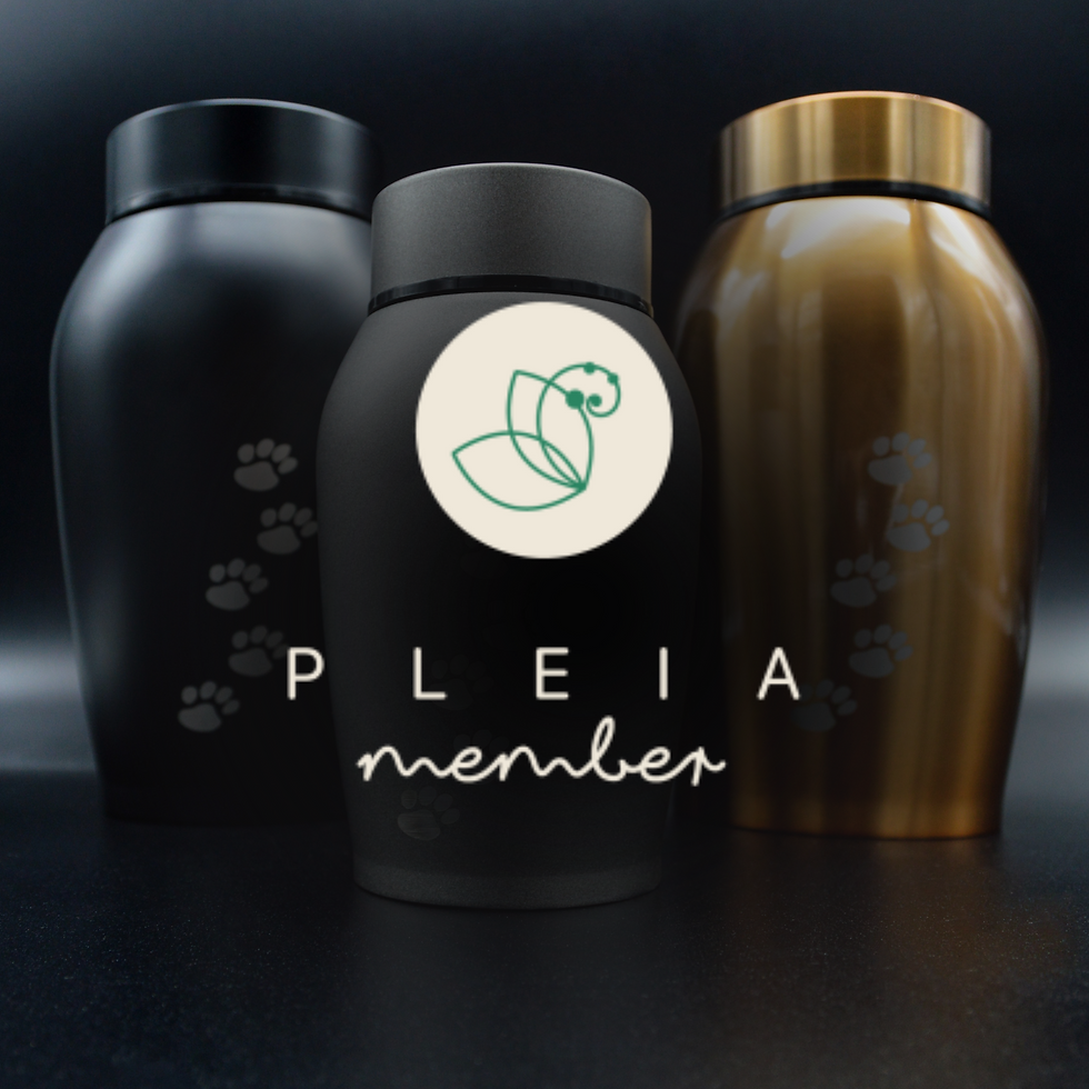 PLEIA Medellín y Bogotá, Colombia