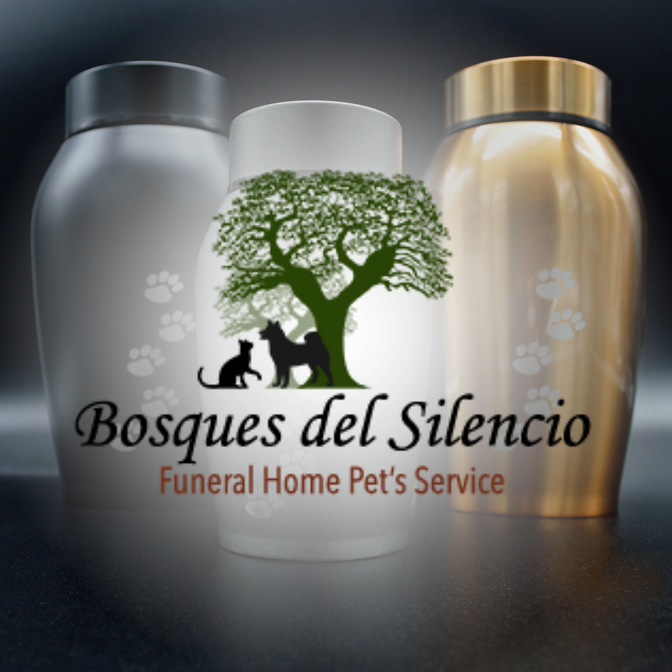 Bosques del Silencio Bogotá, Colombia