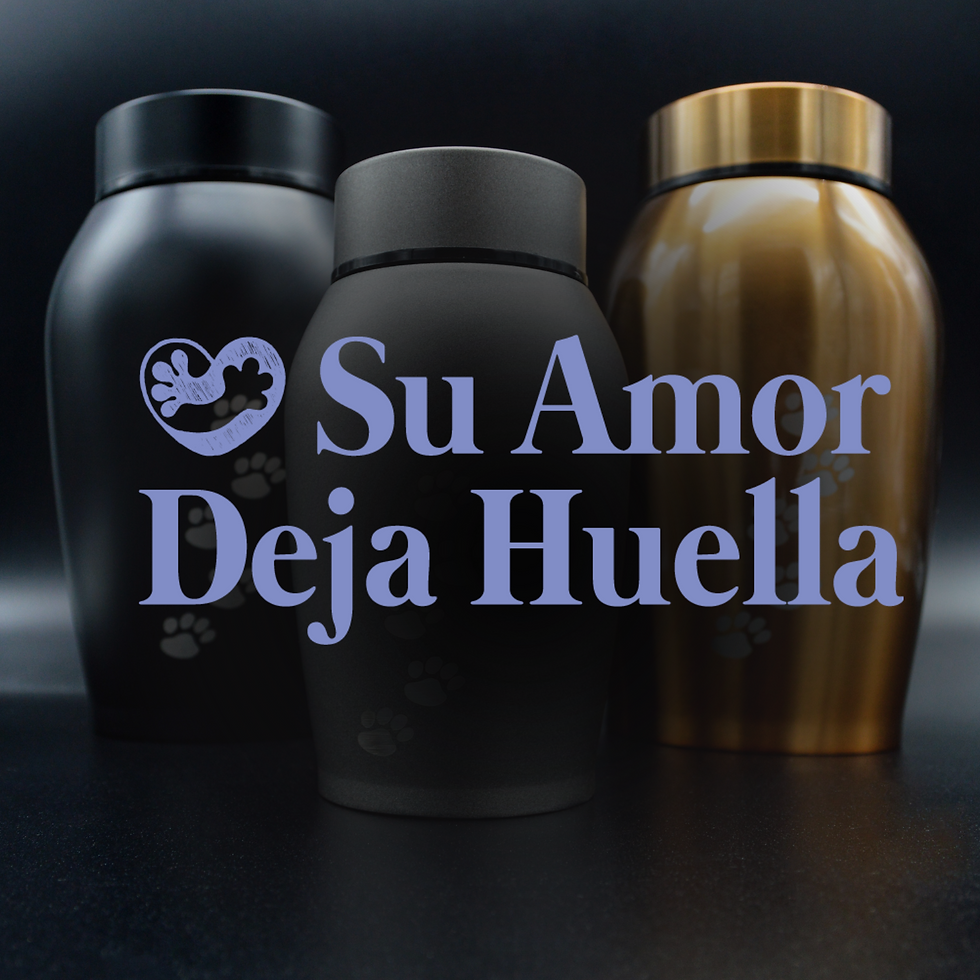 Huellitas de Amor Bogotá, Colombia