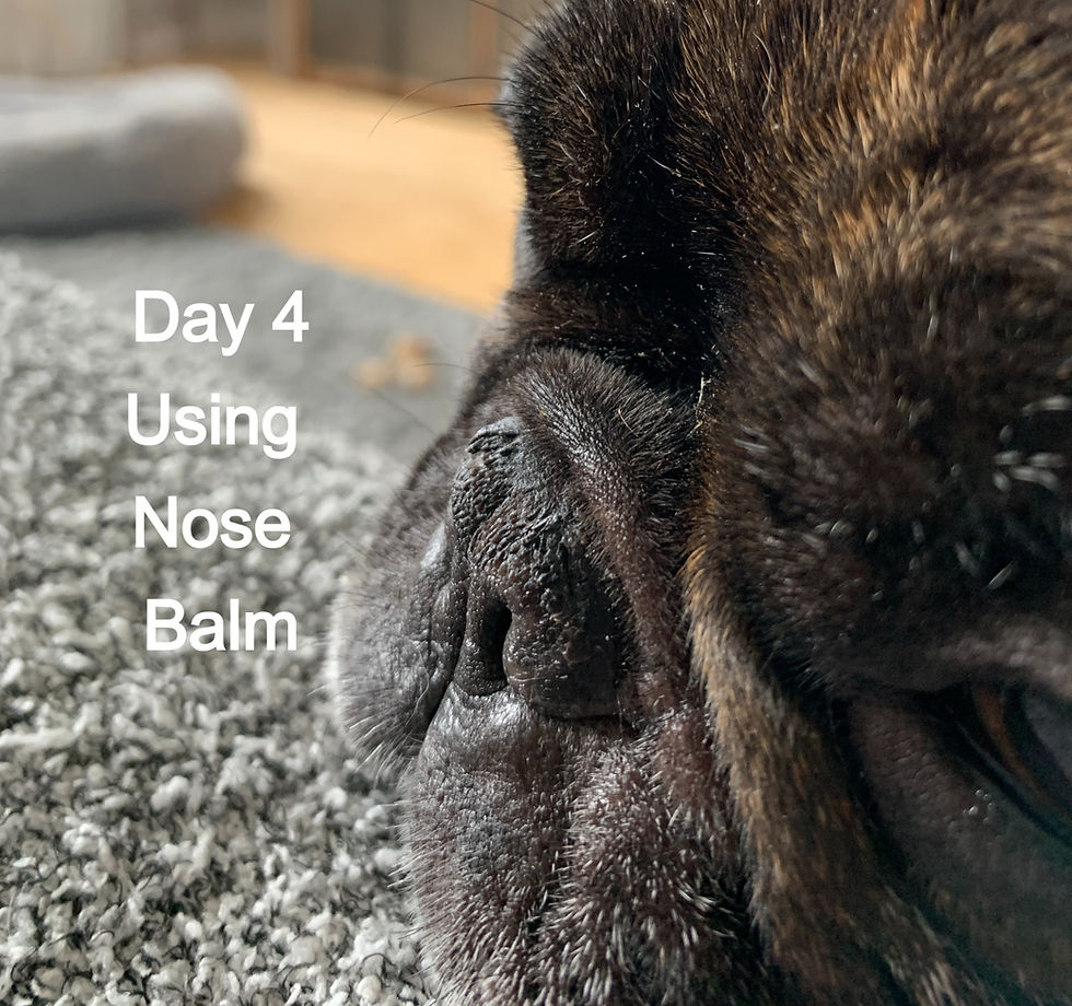 Thumbnail: Soft Sniffer Nose Balm