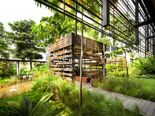 Biofilia na Arquitetura: A aplicação de estratégias naturais em interiores e exteriores