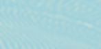 Essent_Patterns_Seafood_Salmon_Web.jpg
