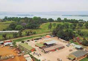 Wildlands Trust Depot.jpg