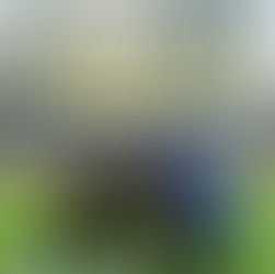 Geleceğin Yıldızları U11 Takımında Yetişiyor