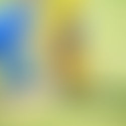 İLİNDEN CUP 2025 - MAKEDONYA