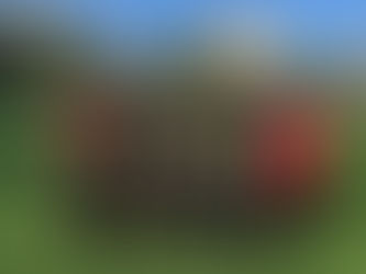 Ataşehir Barbaros U12 Takımı: Disiplin, Gelişim ve Takım Ruhu Bir Arada