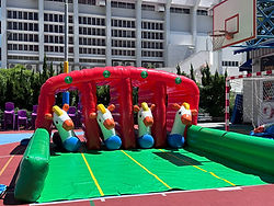 Racing Horse