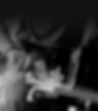 BW copia5.jpg