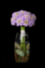 縮圖：Lavender Scoop
