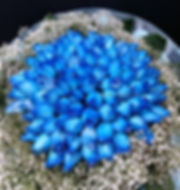 R9906-99枝藍玫瑰配襯花