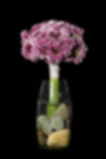 縮圖：Cherry Vanilla Scoop