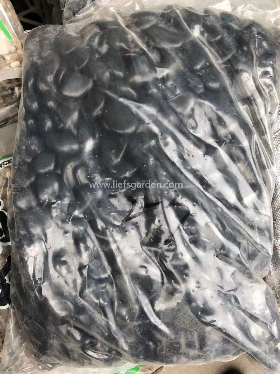 縮圖：拋光黑石春