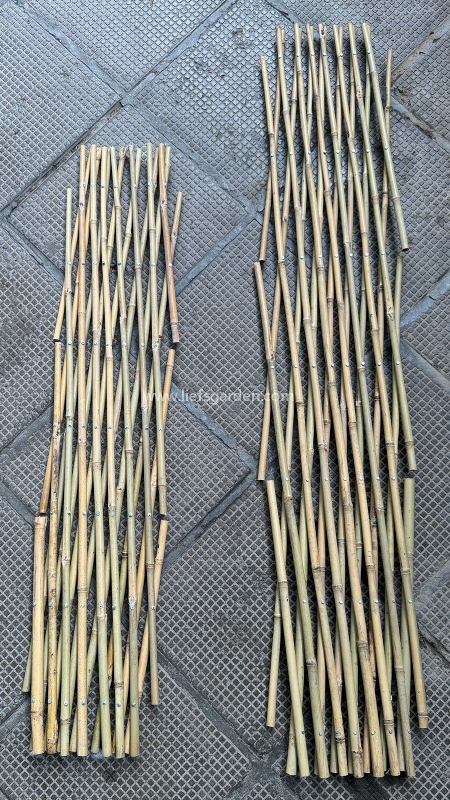 縮圖：竹籬笆-高1.2米
