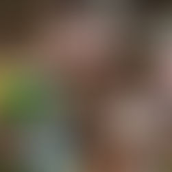 Scott Morrison: A Leader in Crisis