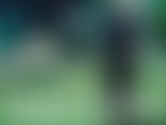 ‘Parasite’ Makes History at the 92nd Academy Awards