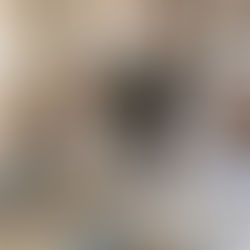 The Sri Lankan Easter Bombings