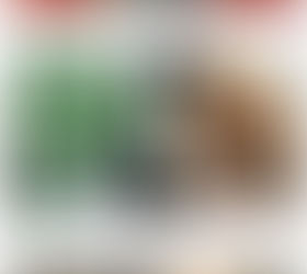 The Most Iconic Dancing in the Quad Songs