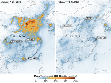 How Quarantine Significantly Improved the State of the Environment 