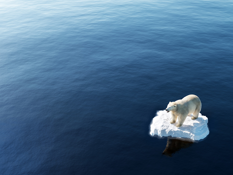 How to Save the Planets and your Grades with Eco-Friendly Browsers