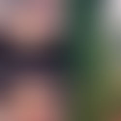 Why You Need to Visit Cambodia