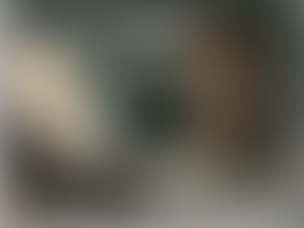 HOW TO STAY HEALTHY IN THE WINTER?