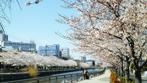 Lợi ích khi sở hữu bất động sản tại Nhật Bản