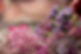 OneMoment-Midlands-Photographer-Weddings-Website-31_edited.jpg
