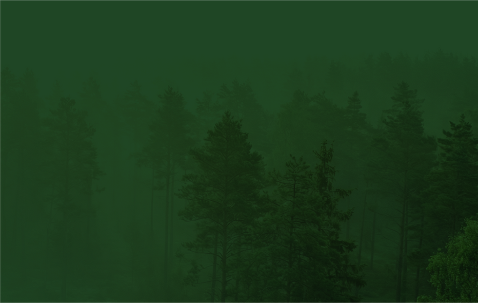 Asset 65 (1).png