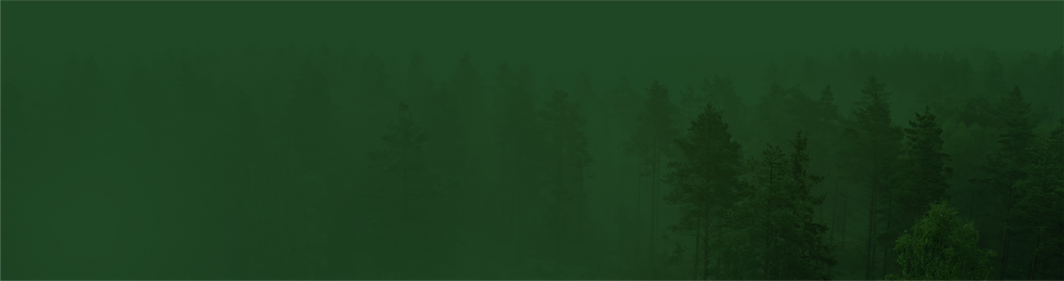 Asset 40_4x.png