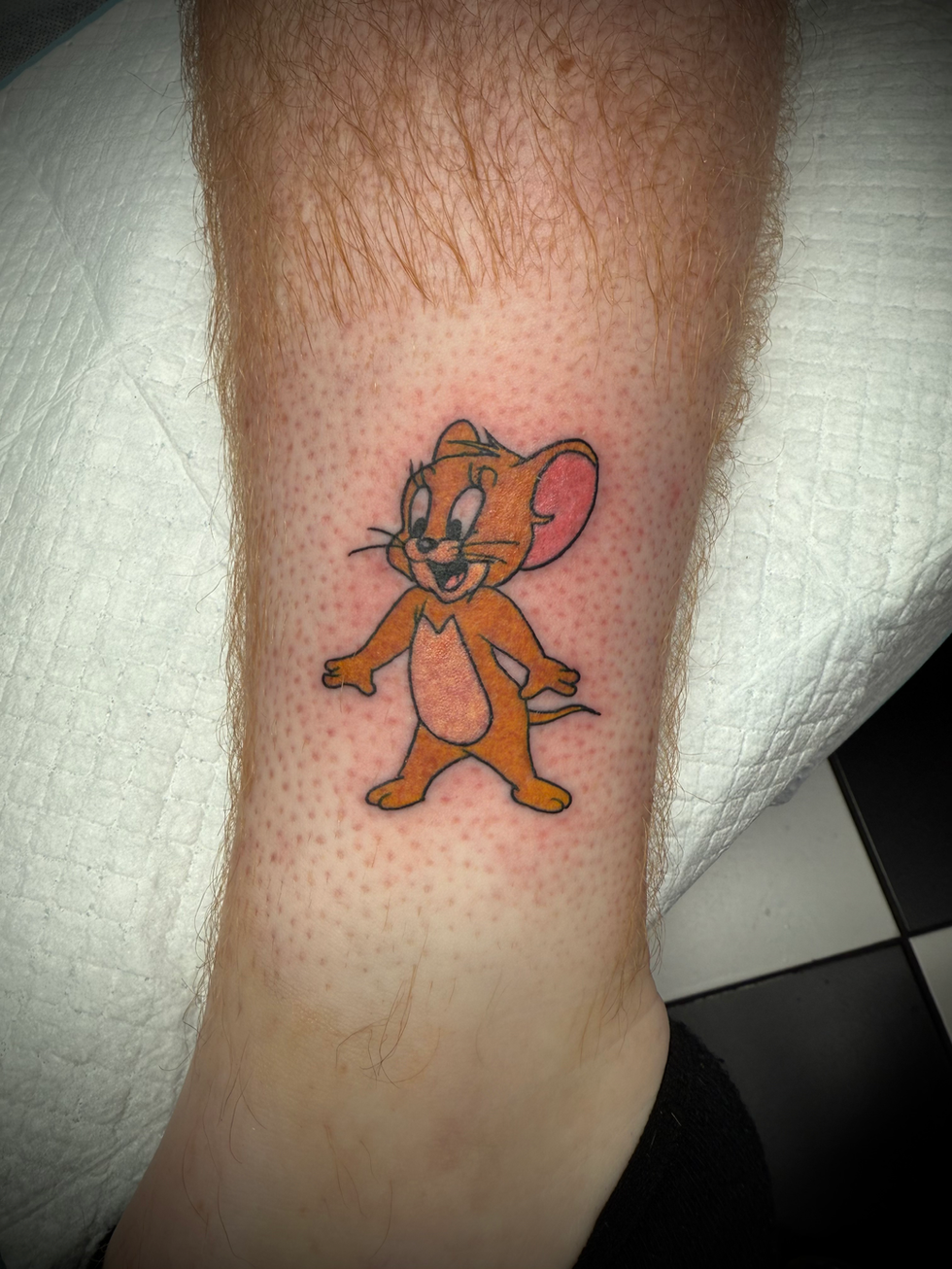 Jerry the mouse
