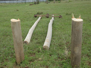 ግንቦት 26 2017 - ባለፉት 9 ወራት ከኤሌክትሪክ መሰረተ ልማትና ከኃይል ስርቆት ጋር በተገናኘ ከ199 ሚሊየን ብር በላይ ጉዳት መድረሱ ተሰማ